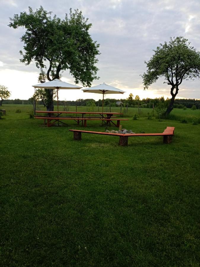 Agroturystyka Podlasie Dobrzyniewo Duze ภายนอก รูปภาพ